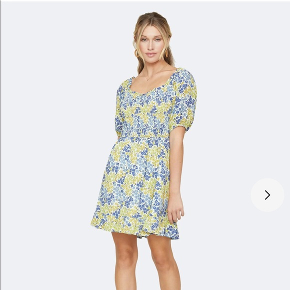 Lost + Wander Blossom and Bloom Mini Dress NWT Size L - Picture 3 of 8